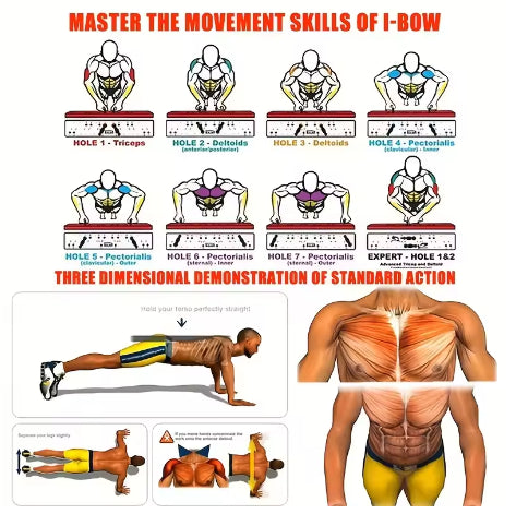 Tabla de Flexiones Multifuncional - Entrenamiento Completo Pecho y Abdomen