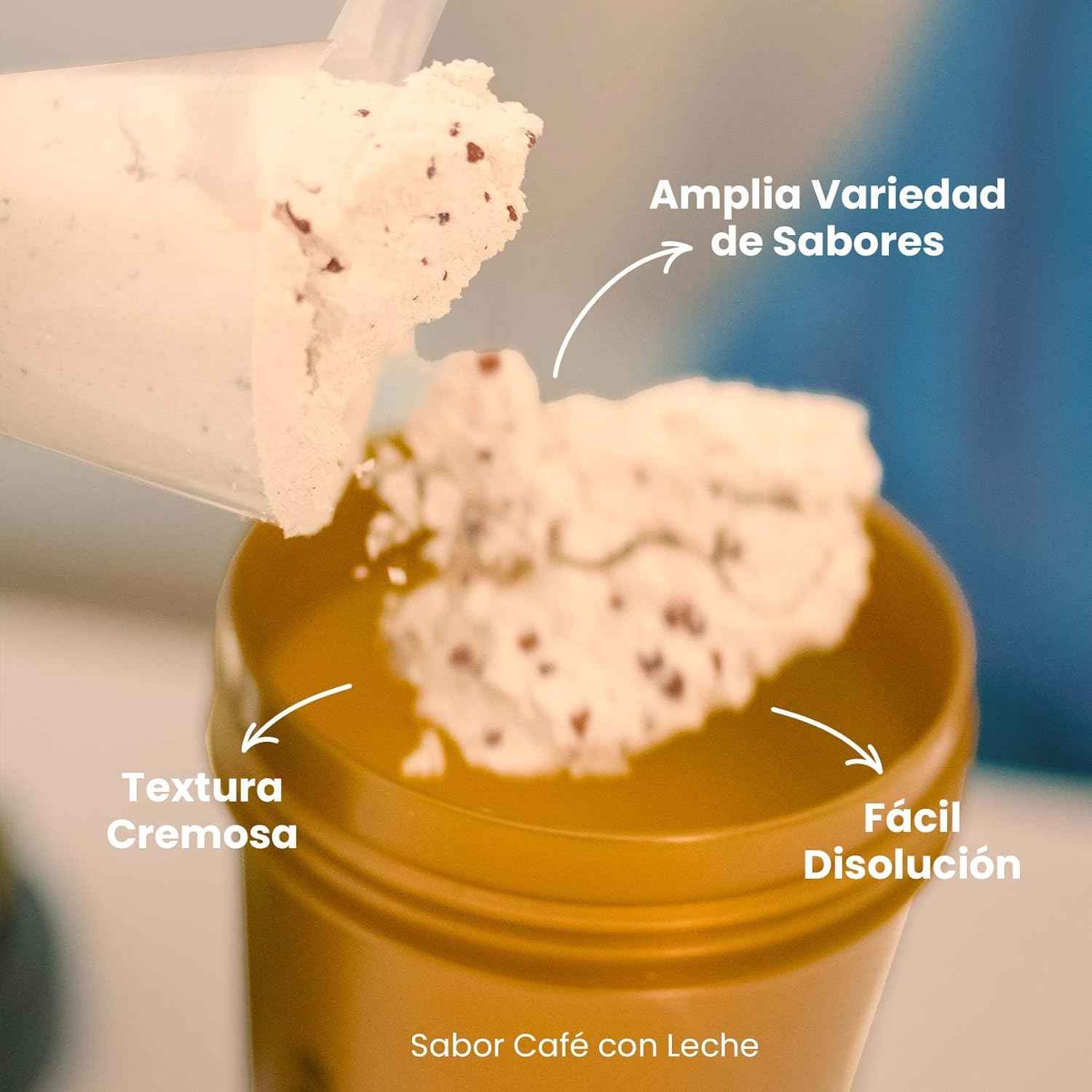 HSN Evowhey Protein | Chocolate Avellanas 2Kg = 67 Tomas por Envase Concentrado de Proteína de Suero | 100% Whey Protein Concentrate (WPC) | No-GMO, Vegetariano, Sin Gluten ni Soja