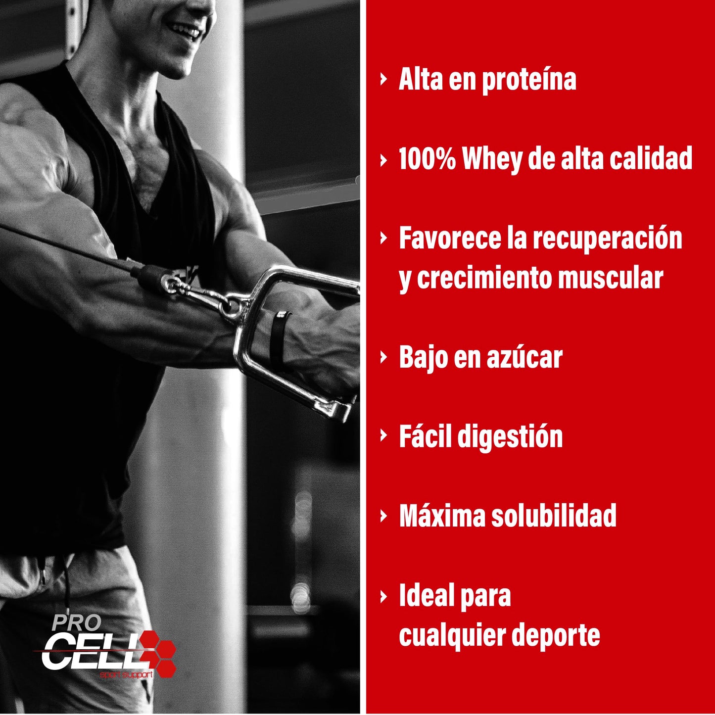 PACK Procell Proteinas Whey Advanced 2kG (White Choco & White Choco rings)+ Batido Monodosis + Shaker "REGALO" Proteina Whey concentrada Gana masa muscular proteina en polvo Batidos de Proteina